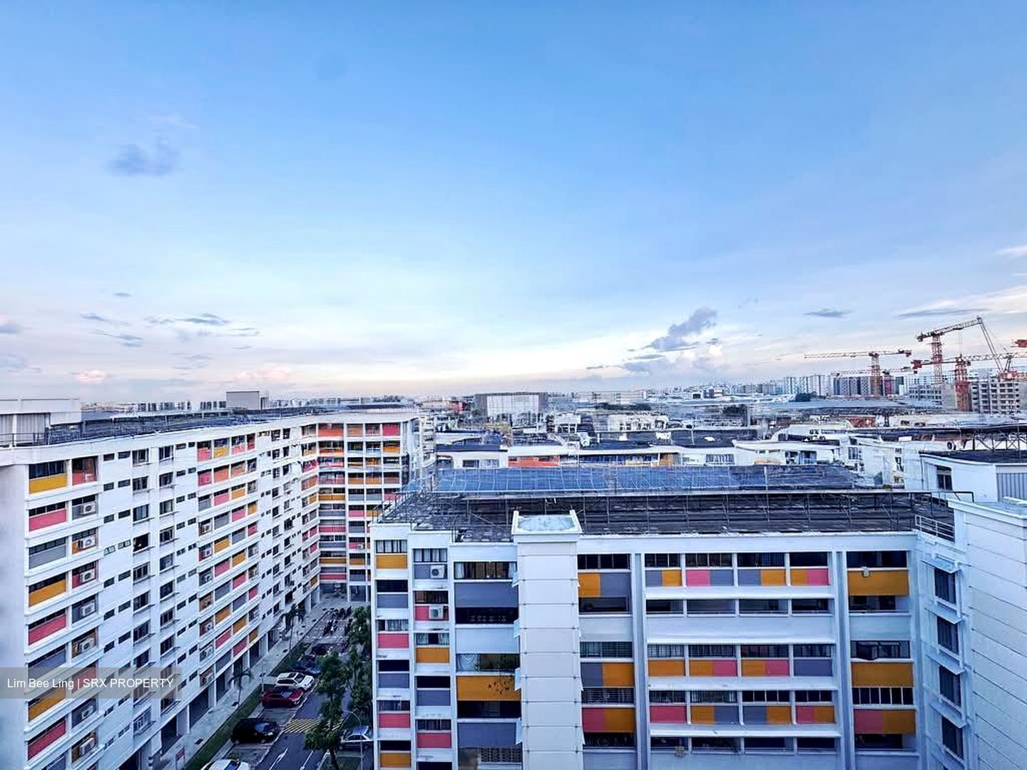 Blk 925 TAMPINES PALMSPRING (Tampines), HDB 3 Rooms #564184701